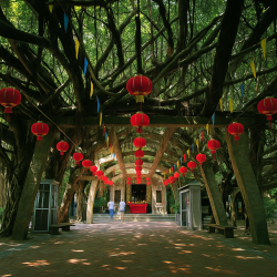 白沙、西嶼介紹 #澎湖美景介紹 白沙、西嶼介紹 #澎湖美景介紹